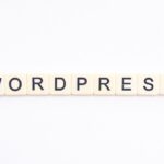 What is WordPress and How Can it Help Your Business