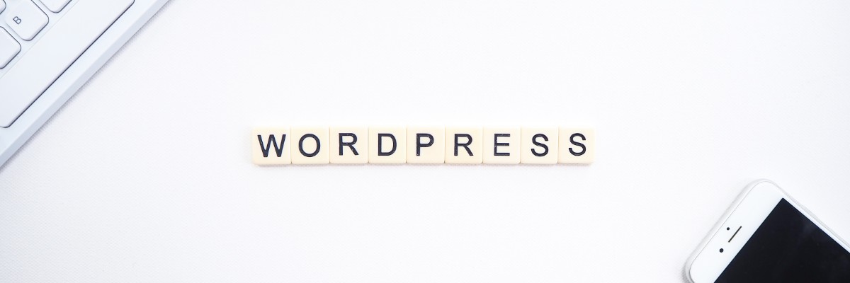 What is WordPress and How Can it Help Your Business